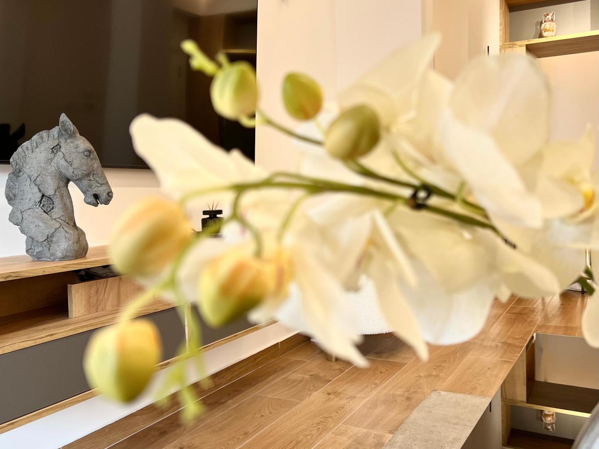 Acropolis Golden View Penthouse Apartment Athens Ngoại thất bức ảnh